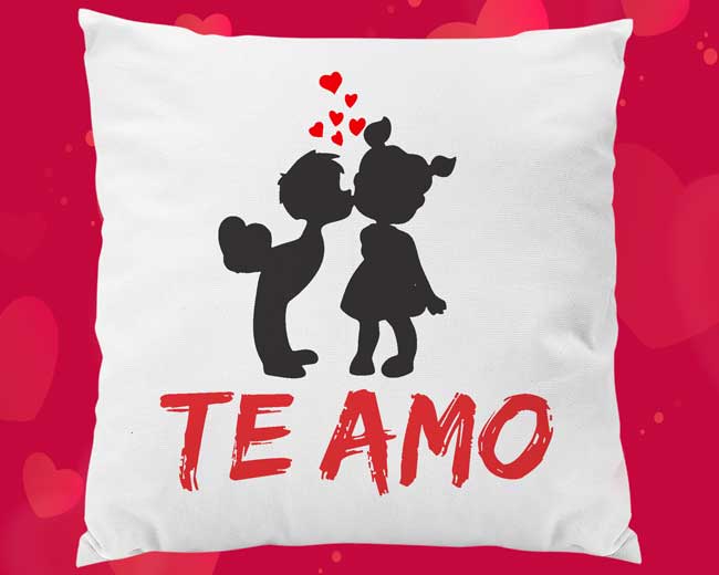 cojines te amo (14 de febrero)